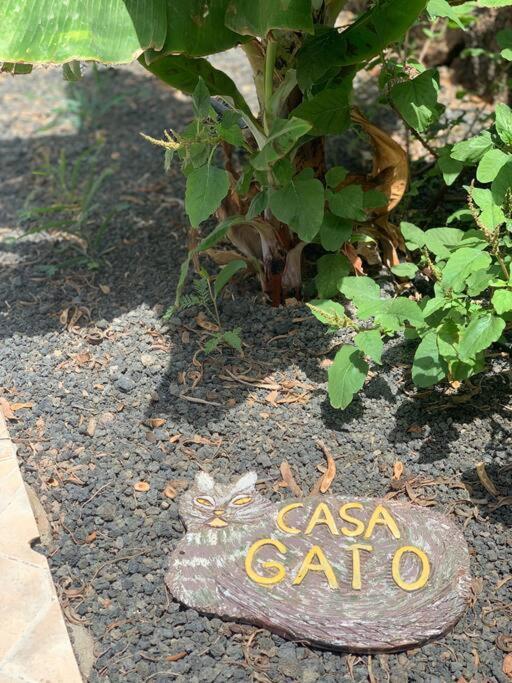 דירות קורלחו Casa Gato מראה חיצוני תמונה