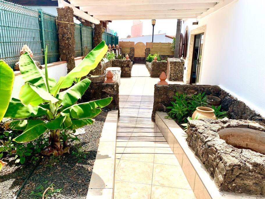דירות קורלחו Casa Gato מראה חיצוני תמונה